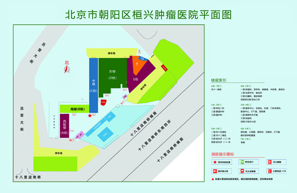 日老逼网站北京市朝阳区桓兴肿瘤医院平面图